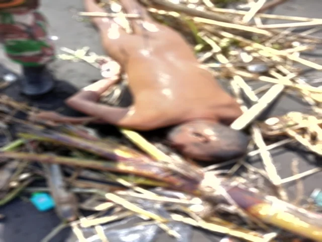 Picsart 22 05 13 18 48 54 509