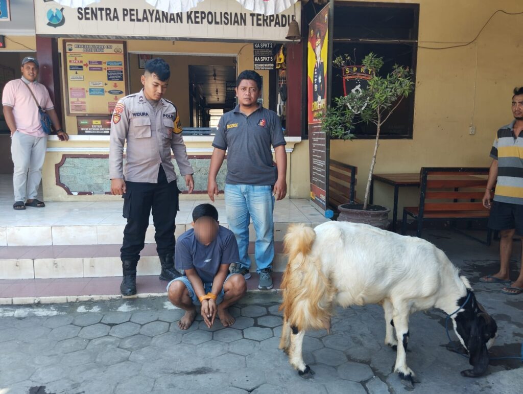 IMG 20240812 WA0053